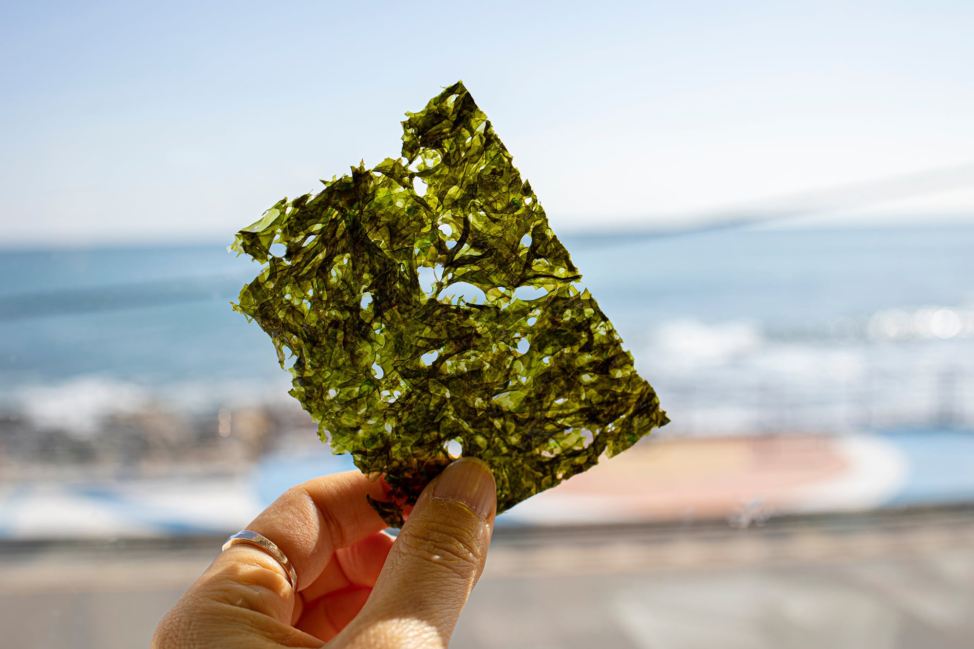 Es un alimento de baja carga calórica y buena densidad nutricional