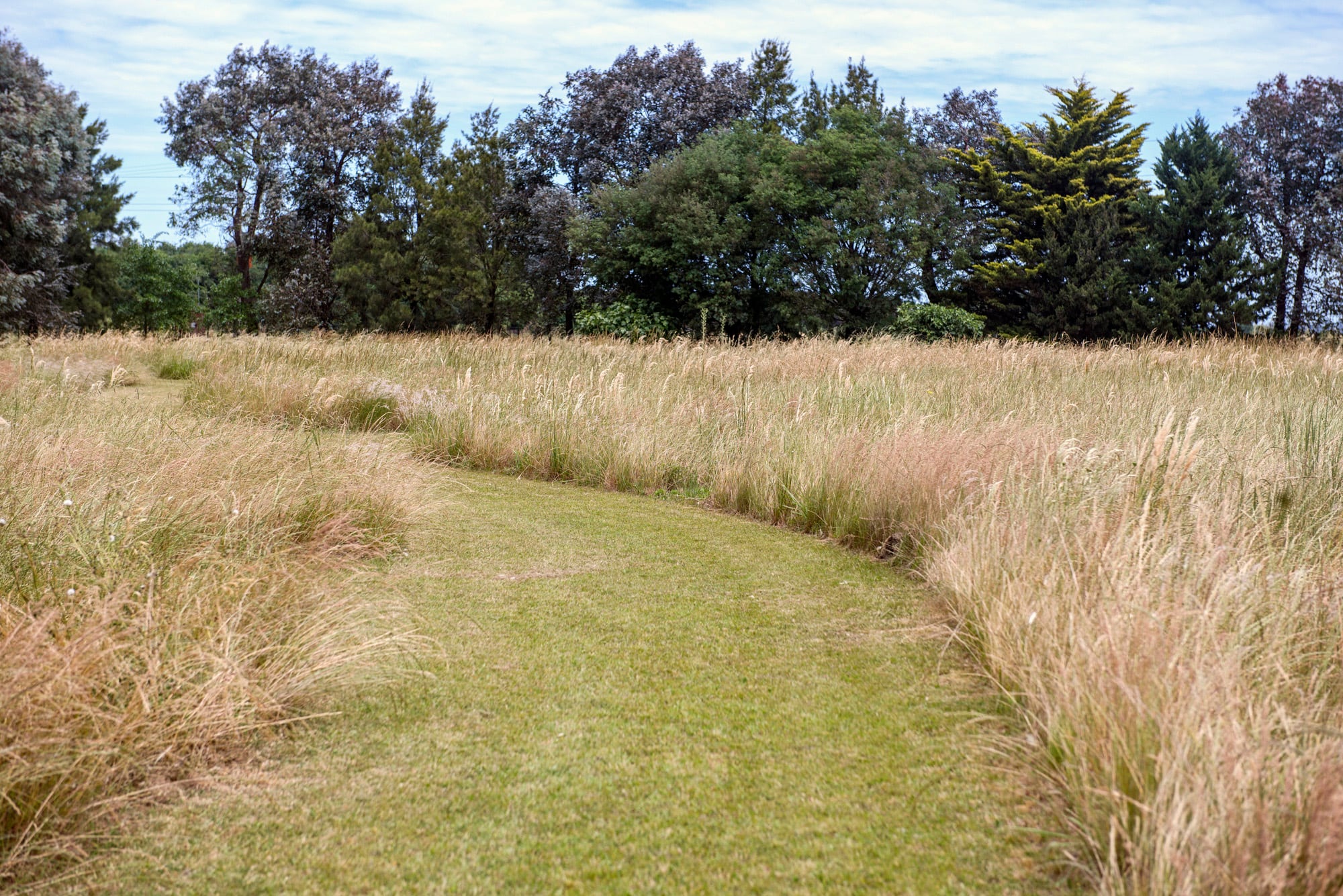 Senderos que recorren el pastizal natural, centro de biodiversidad, revelando su belleza cambiante a lo largo de las estaciones.