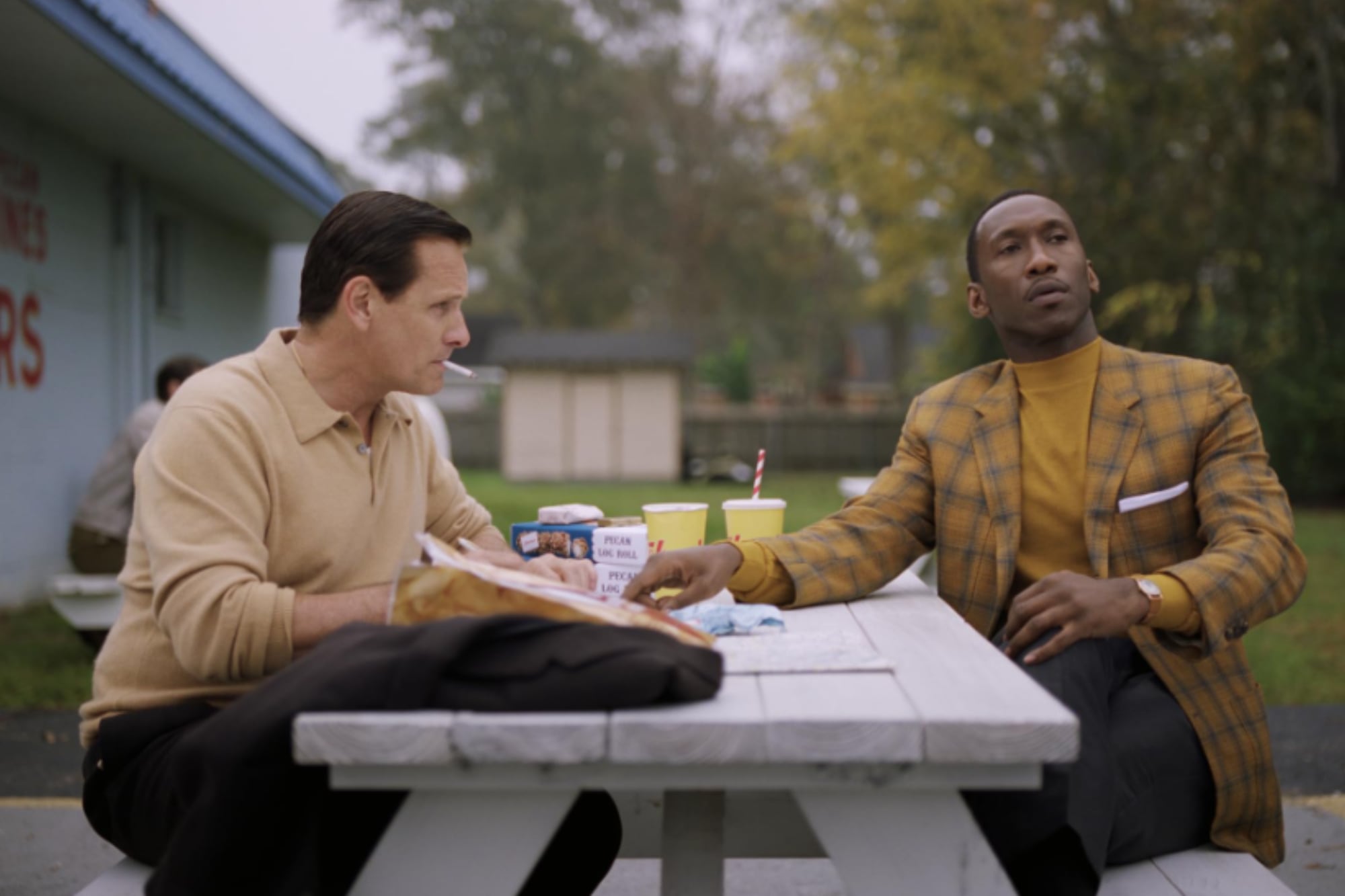 Green Book ganó el Oscar en 2019; está disponible en Prime Video (Foto: IMDb)