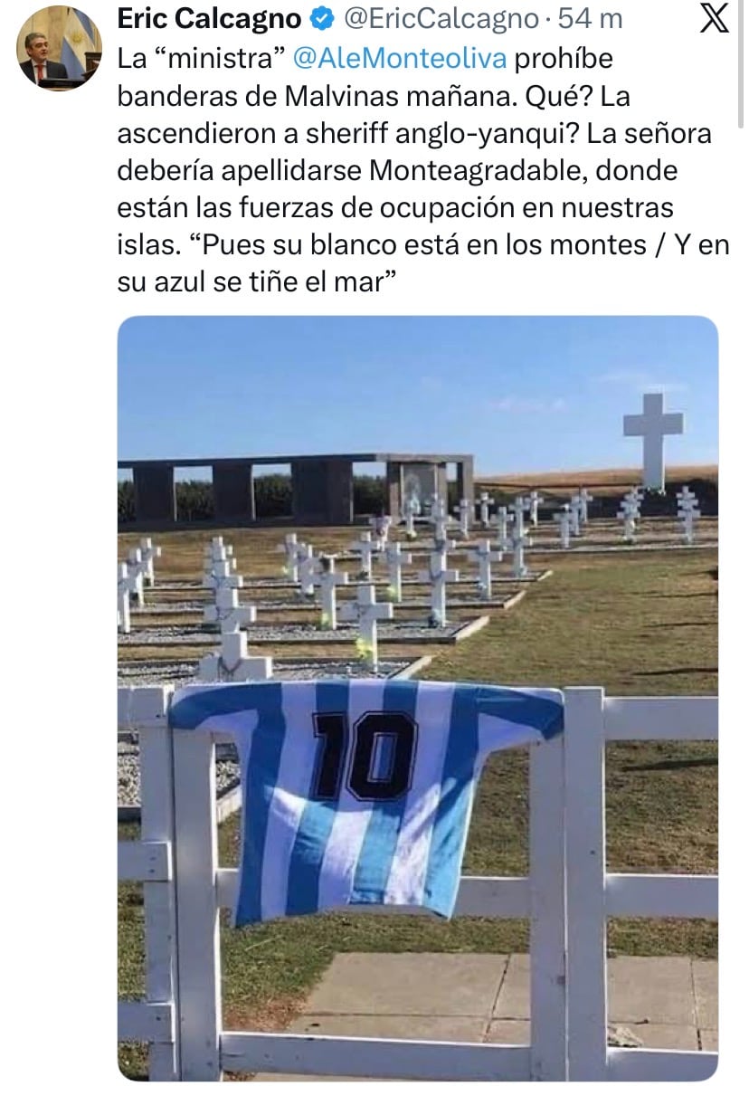 El posteo del exsenador Eric Calcagno