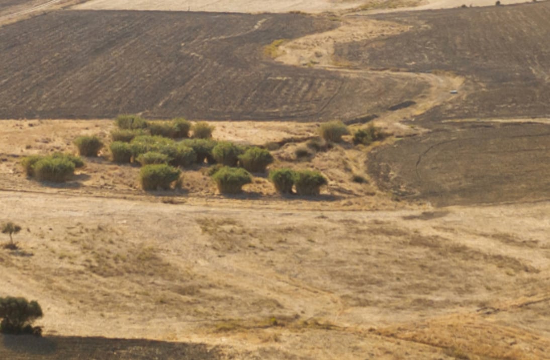 Caligenia tiene como eje convertir residuos orgánicos como el guano de gallina en biofertilizantes y enmiendas carbono negativas capaces de restaurar suelos degradados y contribuir a mitigar el cambio climático