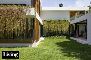 “En lugar de achicarnos, nos agrandamos; hoy nos gusta tanto la casa que casi dejamos de viajar”