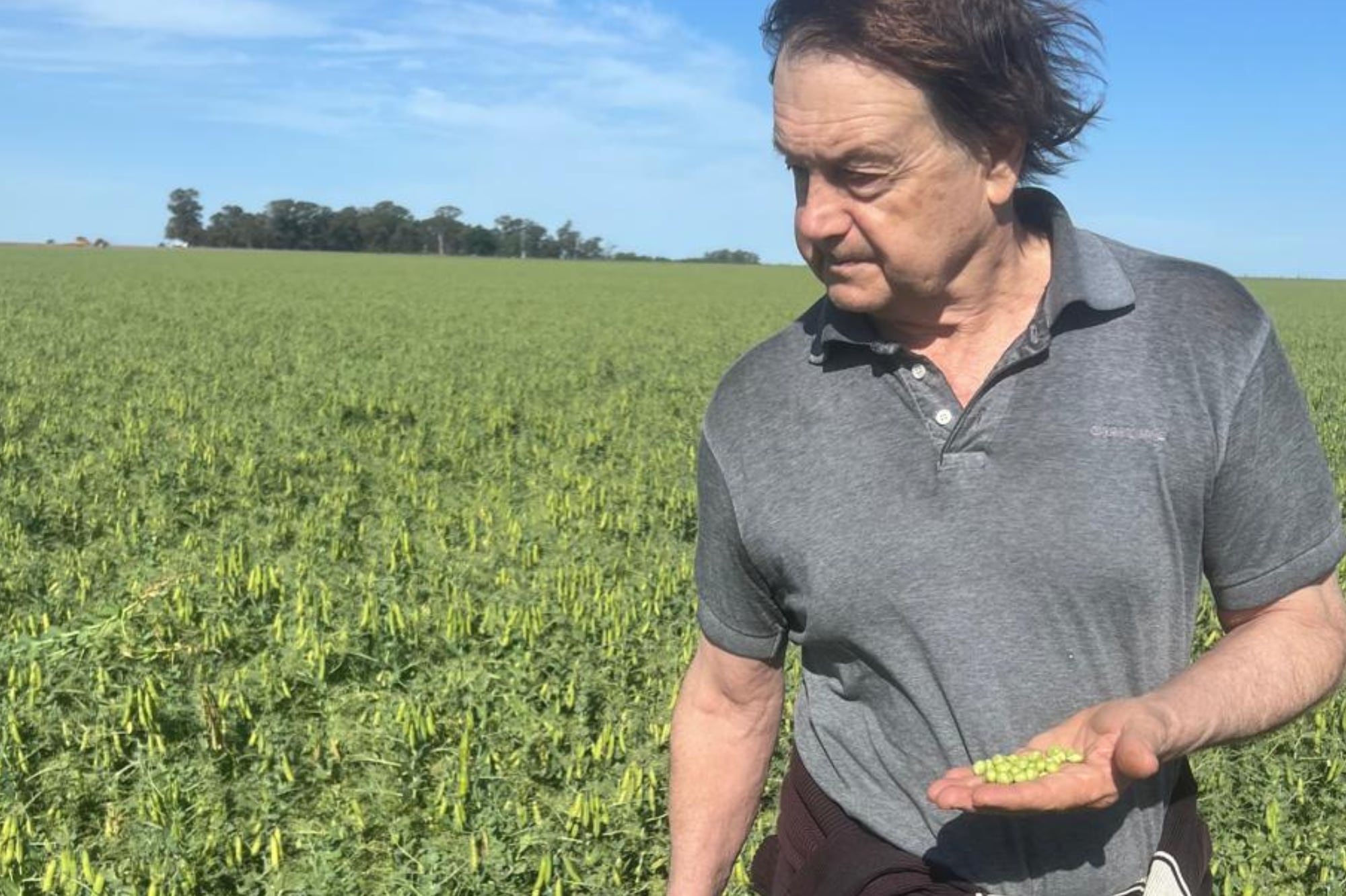 “No me cambia la historia”: los productores no modificarán sus planes tras la baja de las retenciones, aunque valoran el gesto del Gobierno