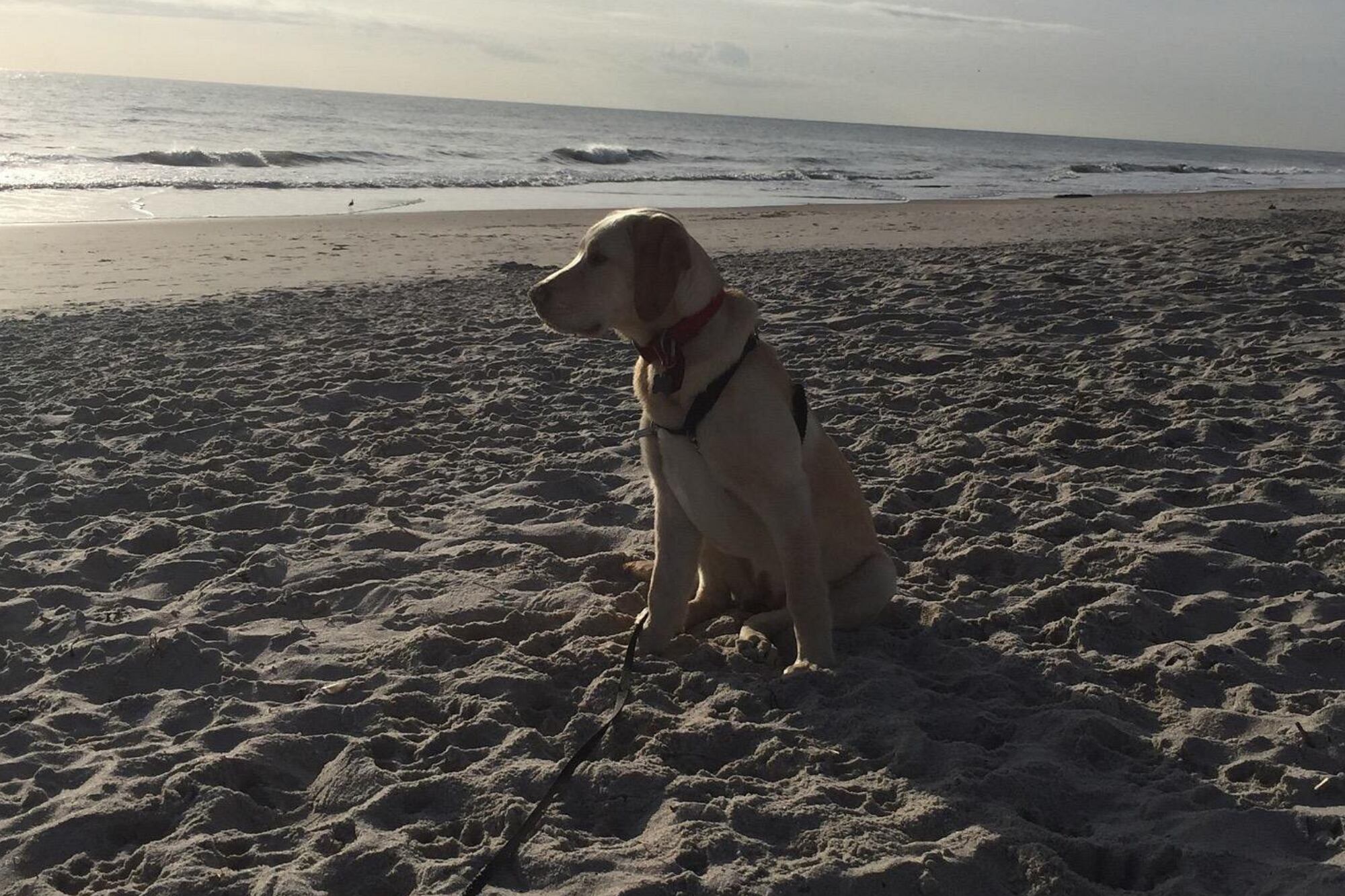 Está ubicada en Indian Harbour Beach, Florida, a unas tres horas en auto desde Miami