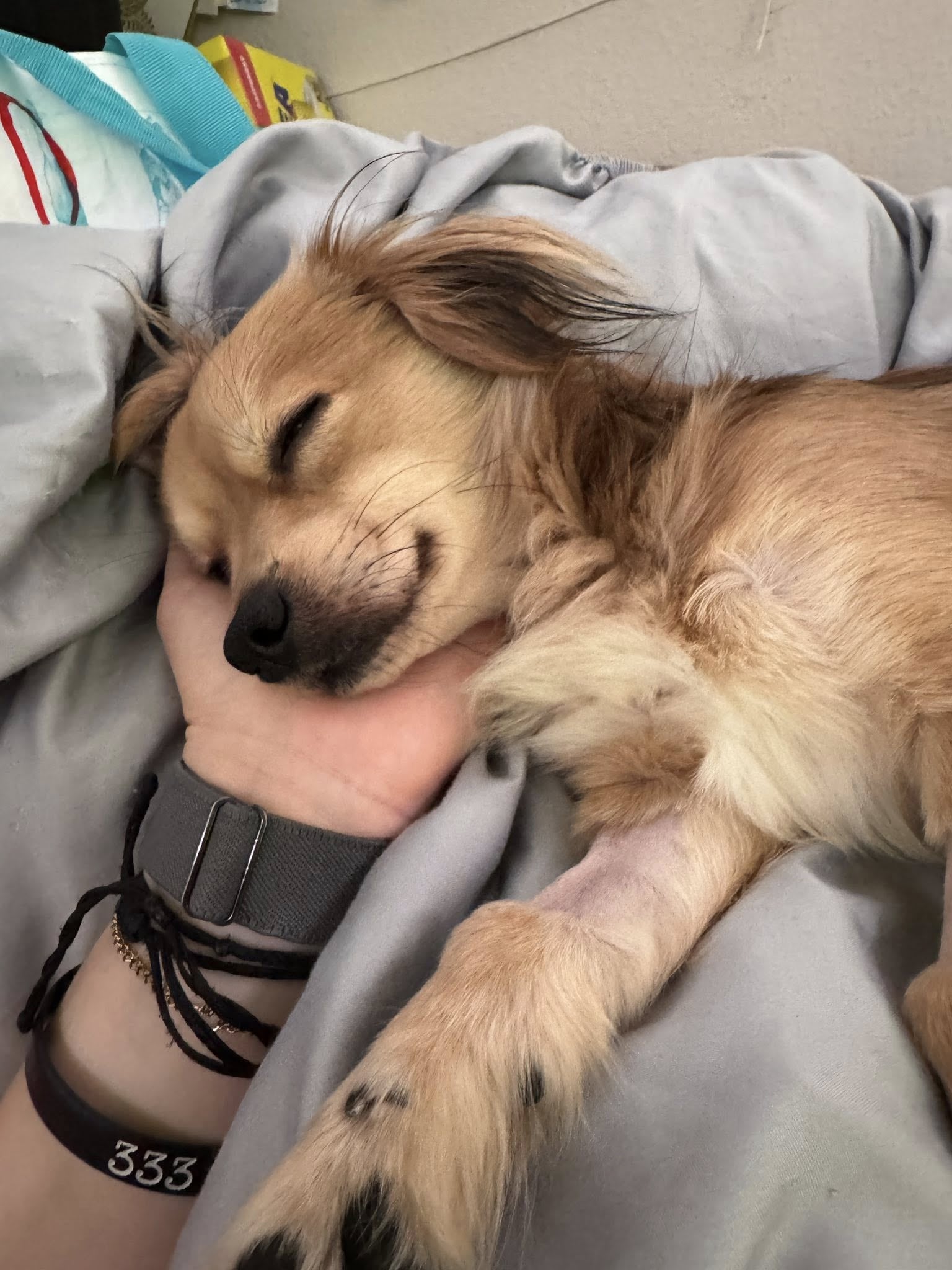 Rosen sorprendió a todos cuando dio sus primeros pasos.