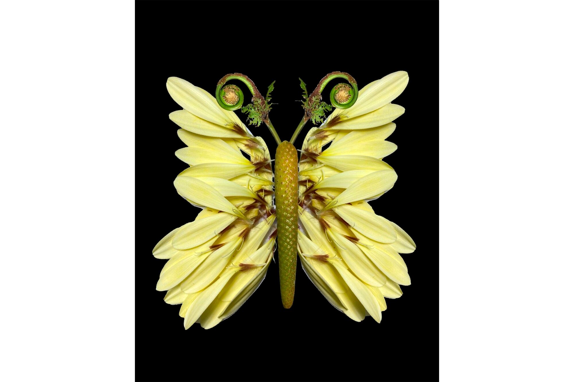 Uno de sus experimentos, obras de arte con flores.