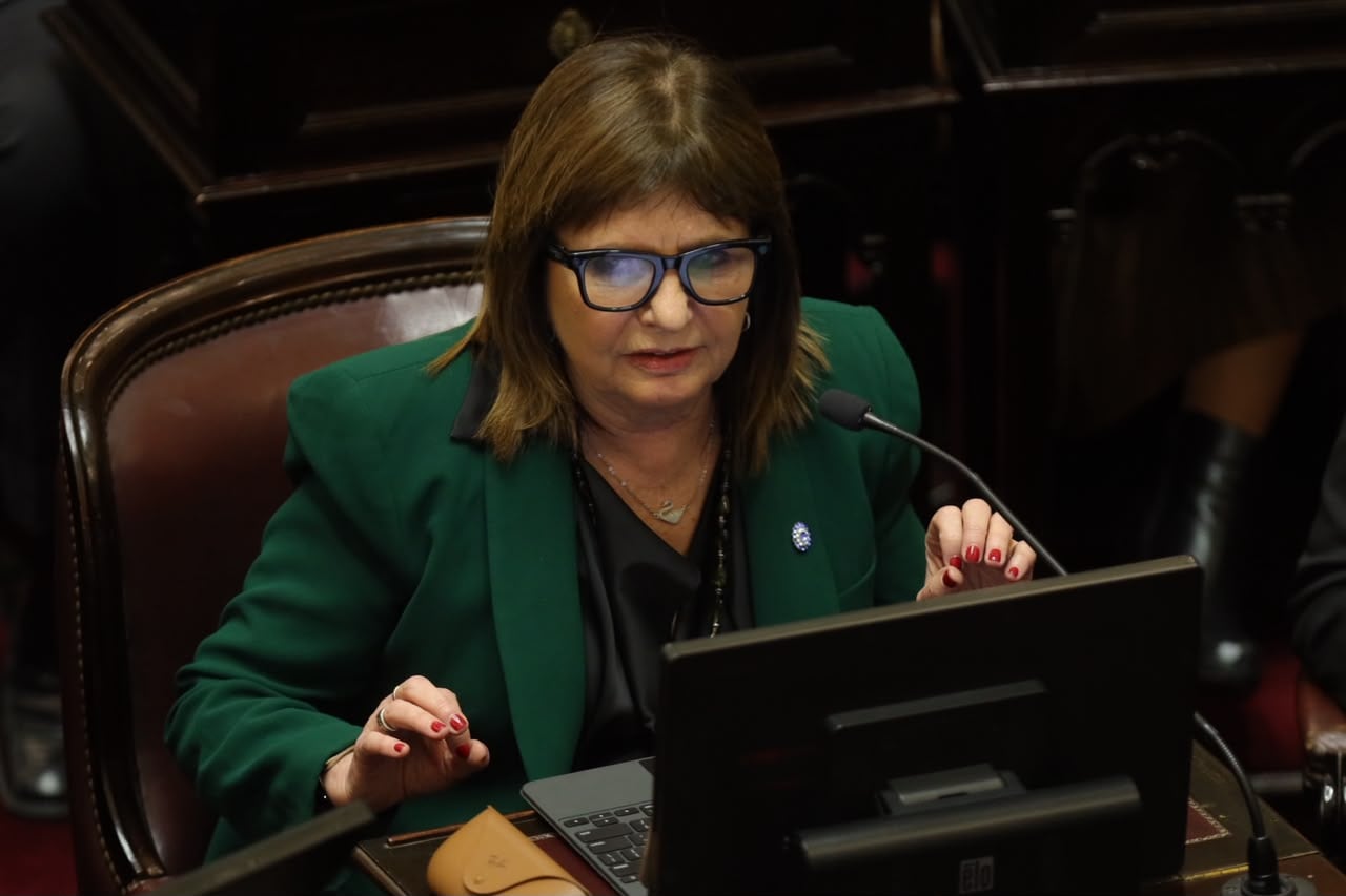 Patricia Bullrich en el Senado