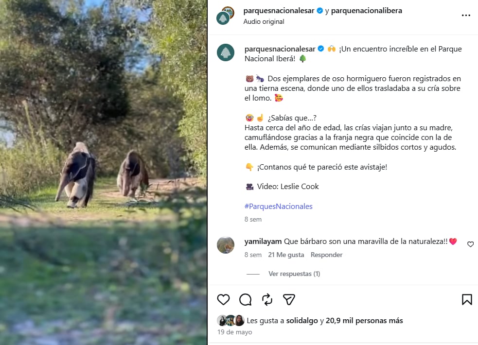 La publicación fue muy comentada en las redes sociales