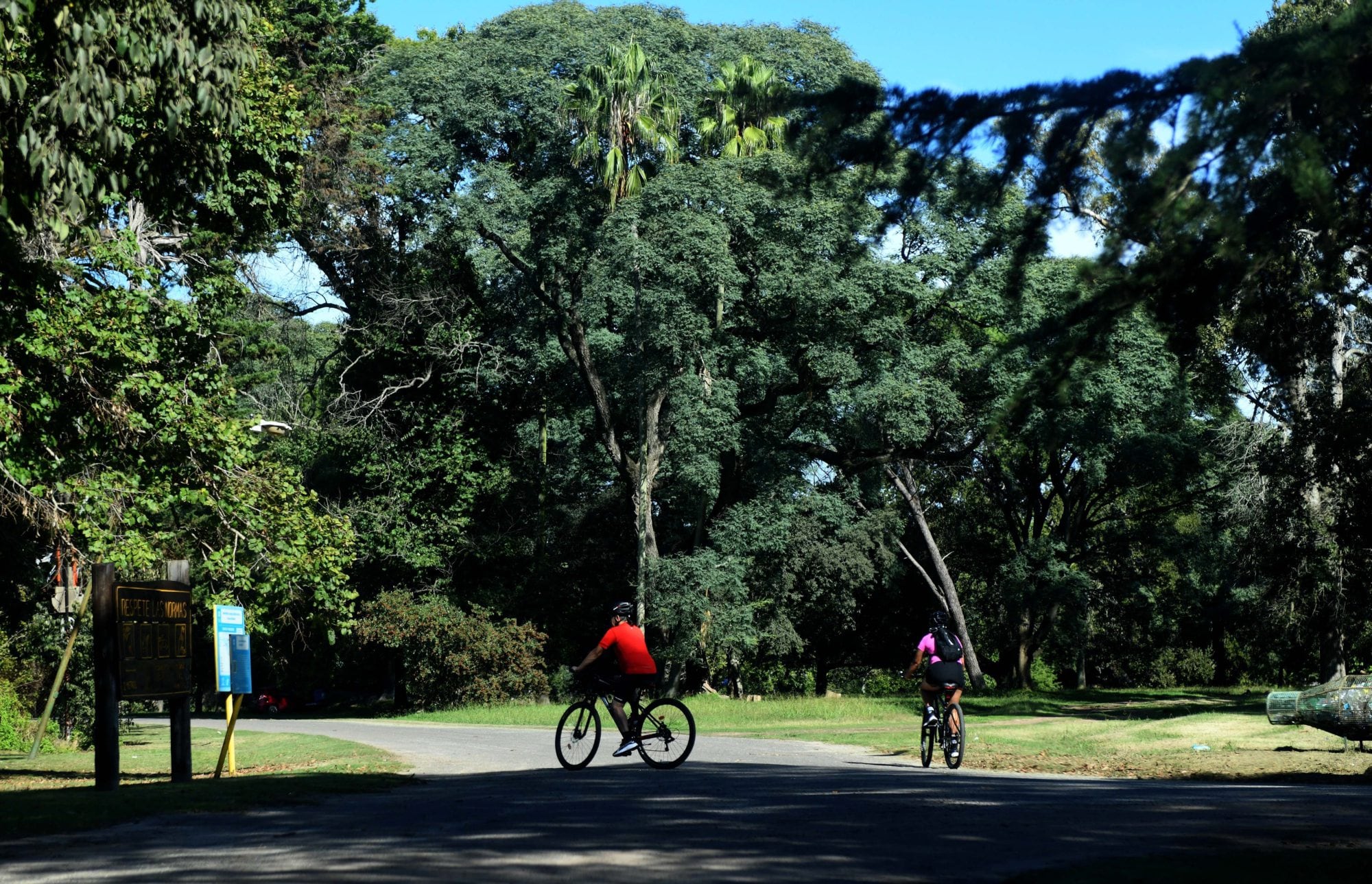 Uno de los problemas de inseguridad dentro del Parque Pereyra Iraola está vinculado con el robo de bicicletas