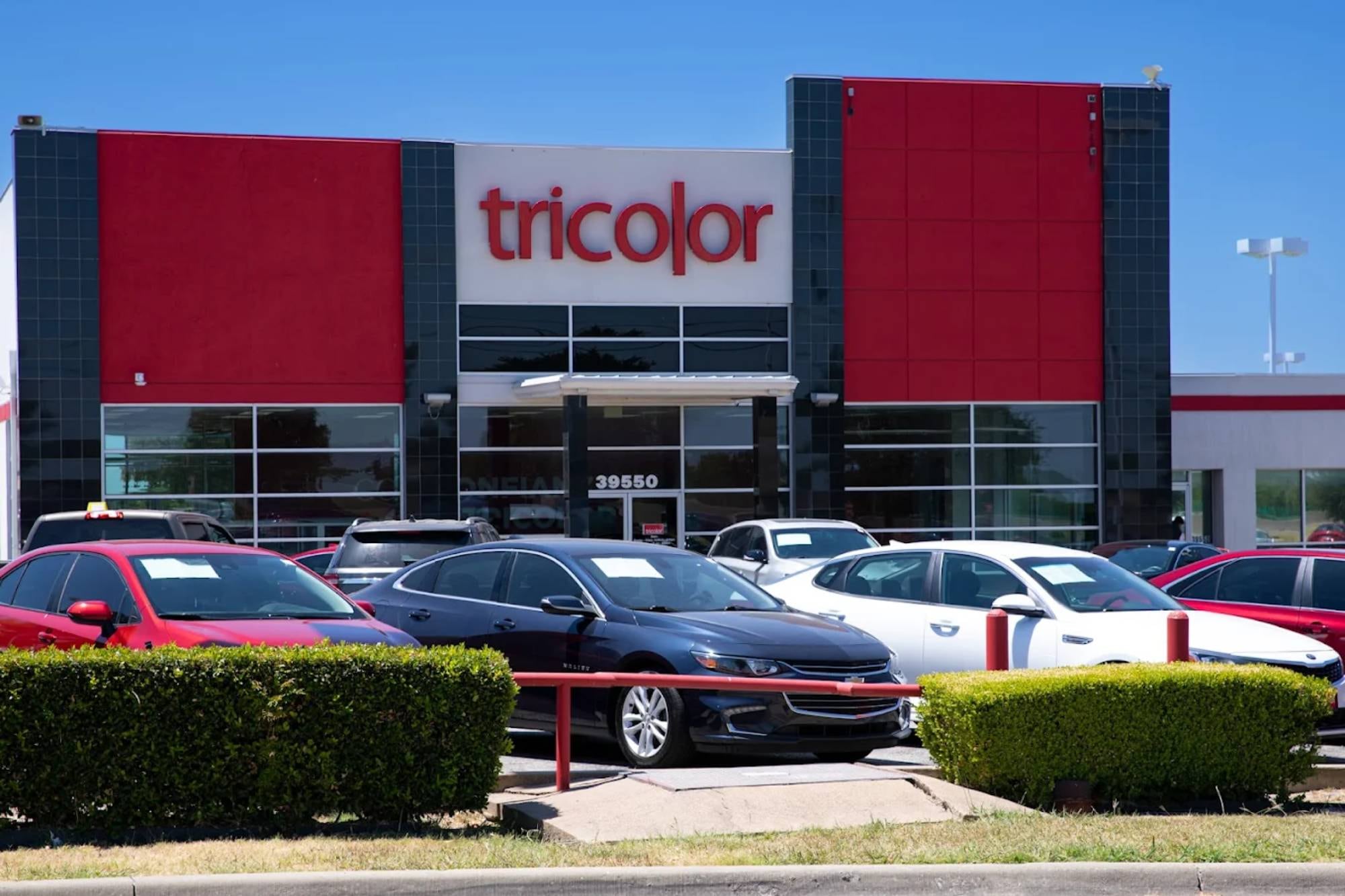 El concesionario de Texas que subastará más de 9000 autos tras su bancarrota: luz verde