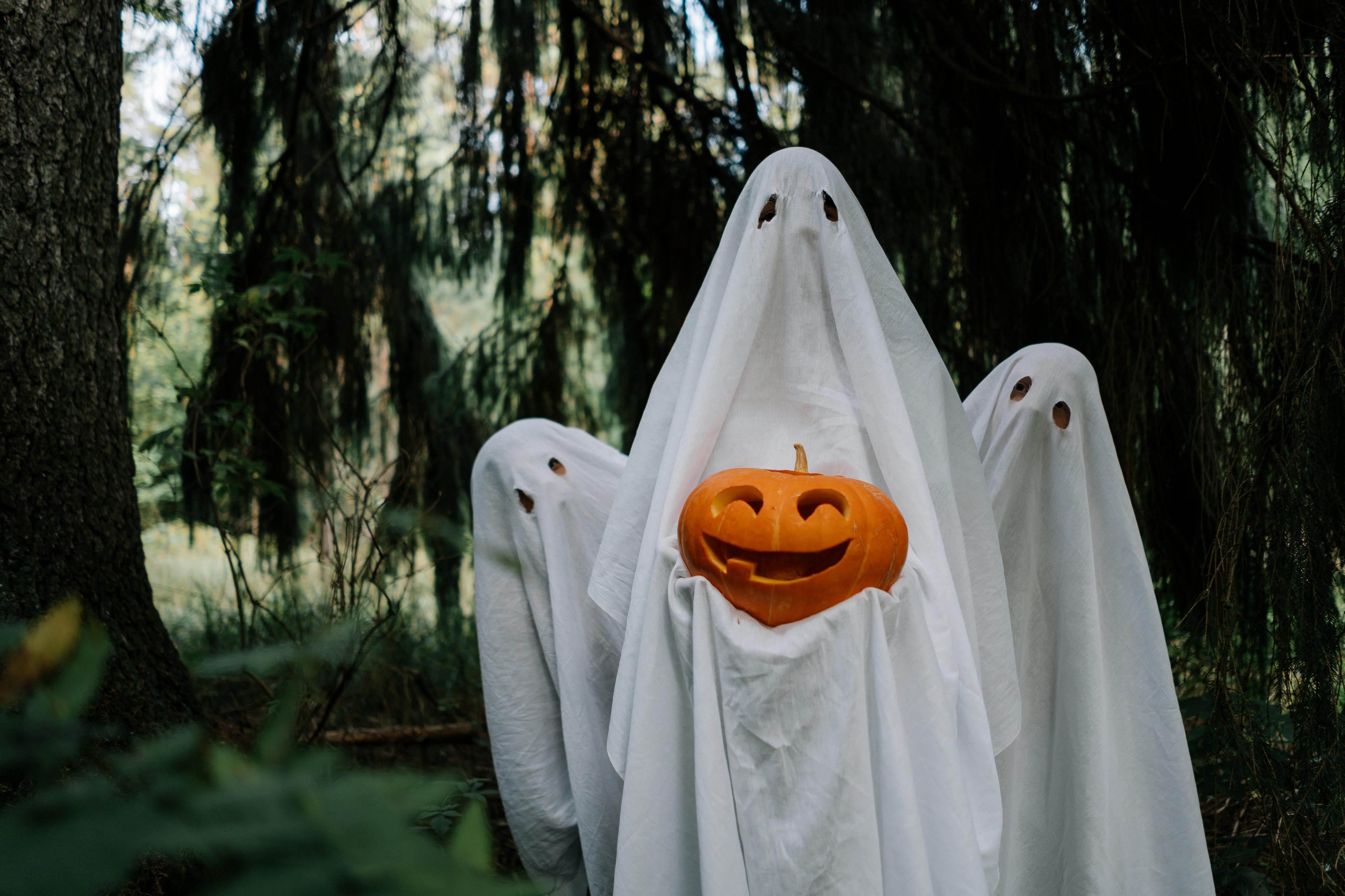 Por qué se celebra Halloween en Estados Unidos y qué dice la Biblia al respecto 6 Halloween es una celebración de origen pagano y de costumbres celtas (Archivo-Pexels/cottonbro studio)