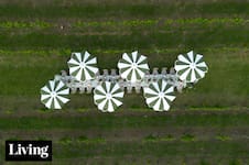 Entre viñedos, una mesa inolvidable para celebrar el fin de año