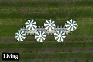 Entre viñedos, una mesa inolvidable para celebrar el fin de año