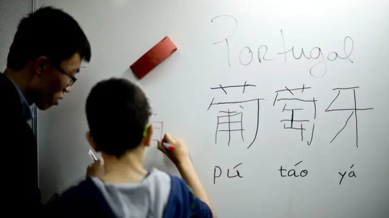 Los experimentos que imitan el aprendizaje de idiomas en el mundo real pueden tener resultados sorprendentemente rápidos