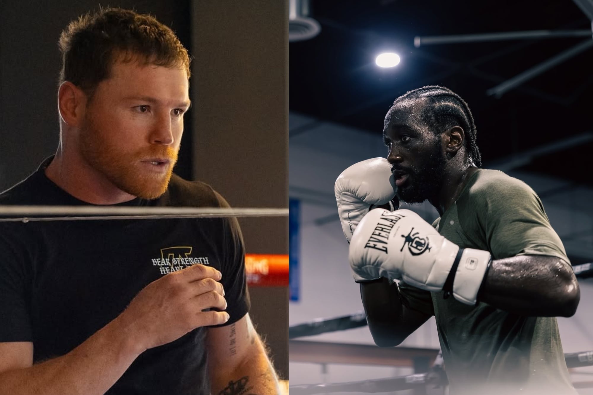 Canelo Álvarez vs. Terence Crawford: el mexicano busca la revancha y se podría repetir la pelea en 2026