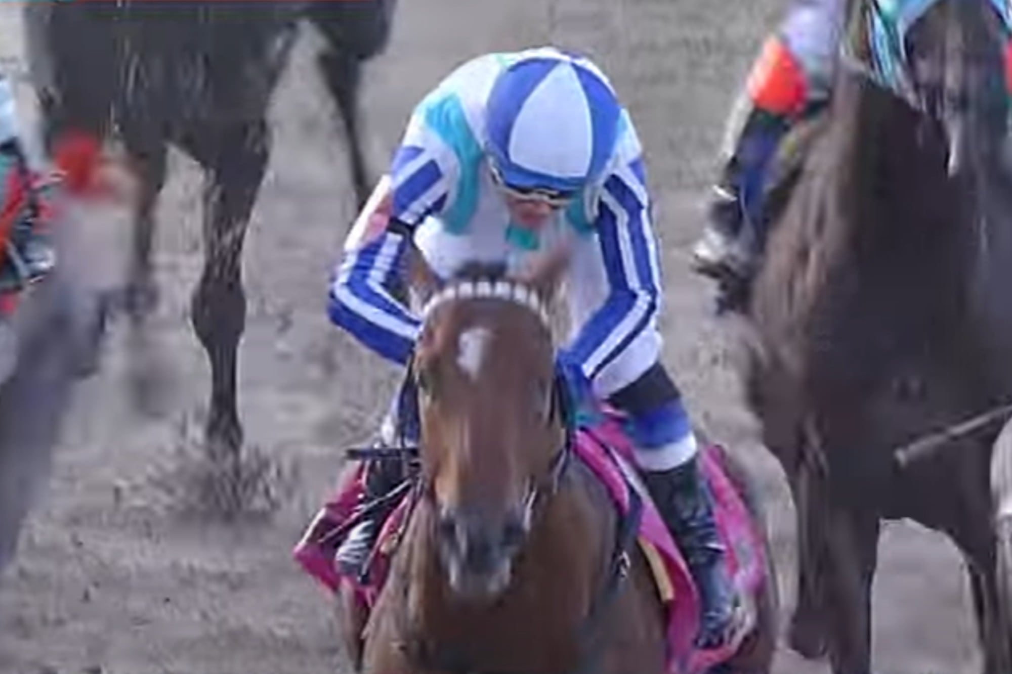 Gran Premio Nacional: Gordianus guardó energías y se quedó con el final de la Triple Corona