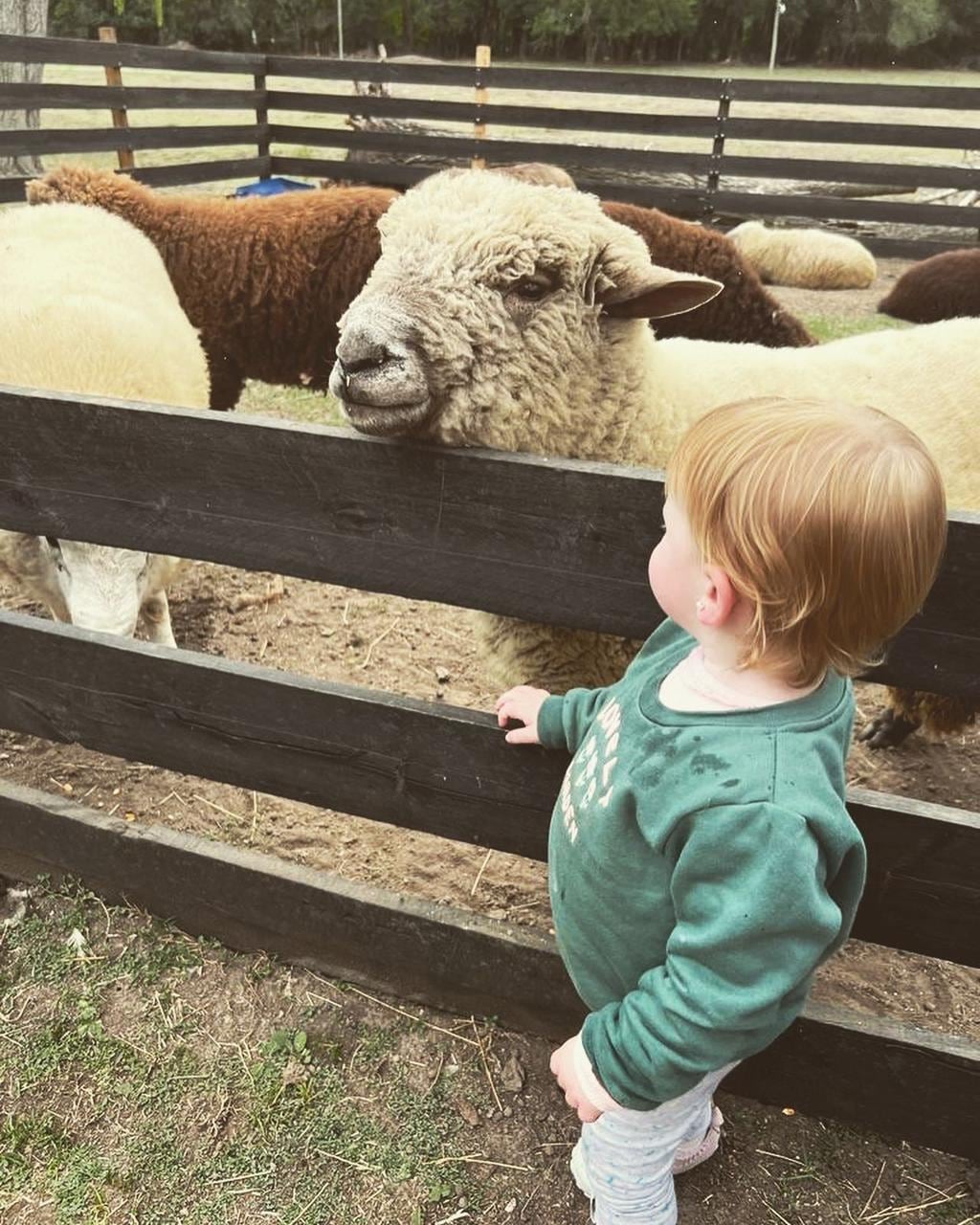 Chacra Los Cardales en Exaltación de la Cruz