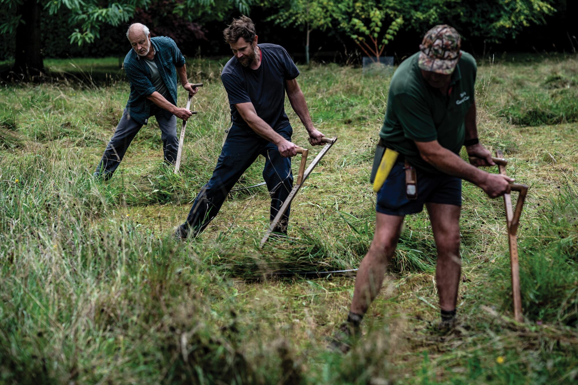 Los segadores y miembros de la Asociación de Guadañas de Gran Bretaña e Irlanda cortan los pastos de los prados en Highgrove. El Rey prefiere que todo el trabajo se realice con herramientas manuales porque es menos dañino para la flora que una podadora y más silencioso.