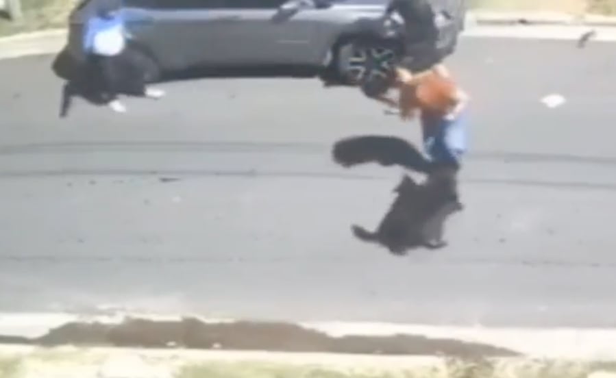 Video: ladrones tiraron a una mujer al piso y la golpearon para robarle el auto en la Matanza