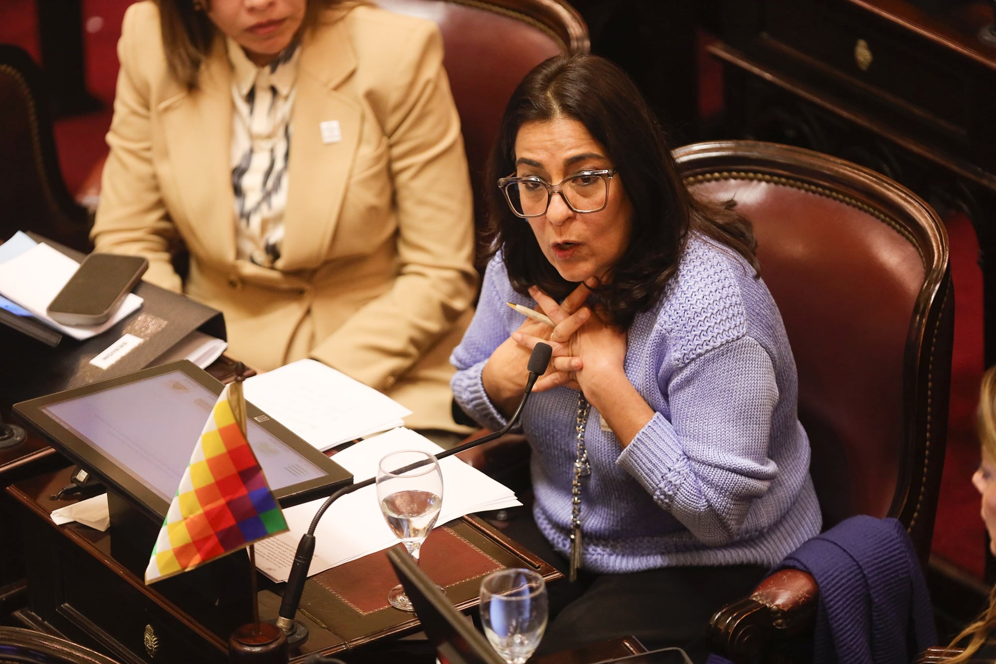 La legisladora Moisés citó una parte del preámbulo de la Constitución Nacional