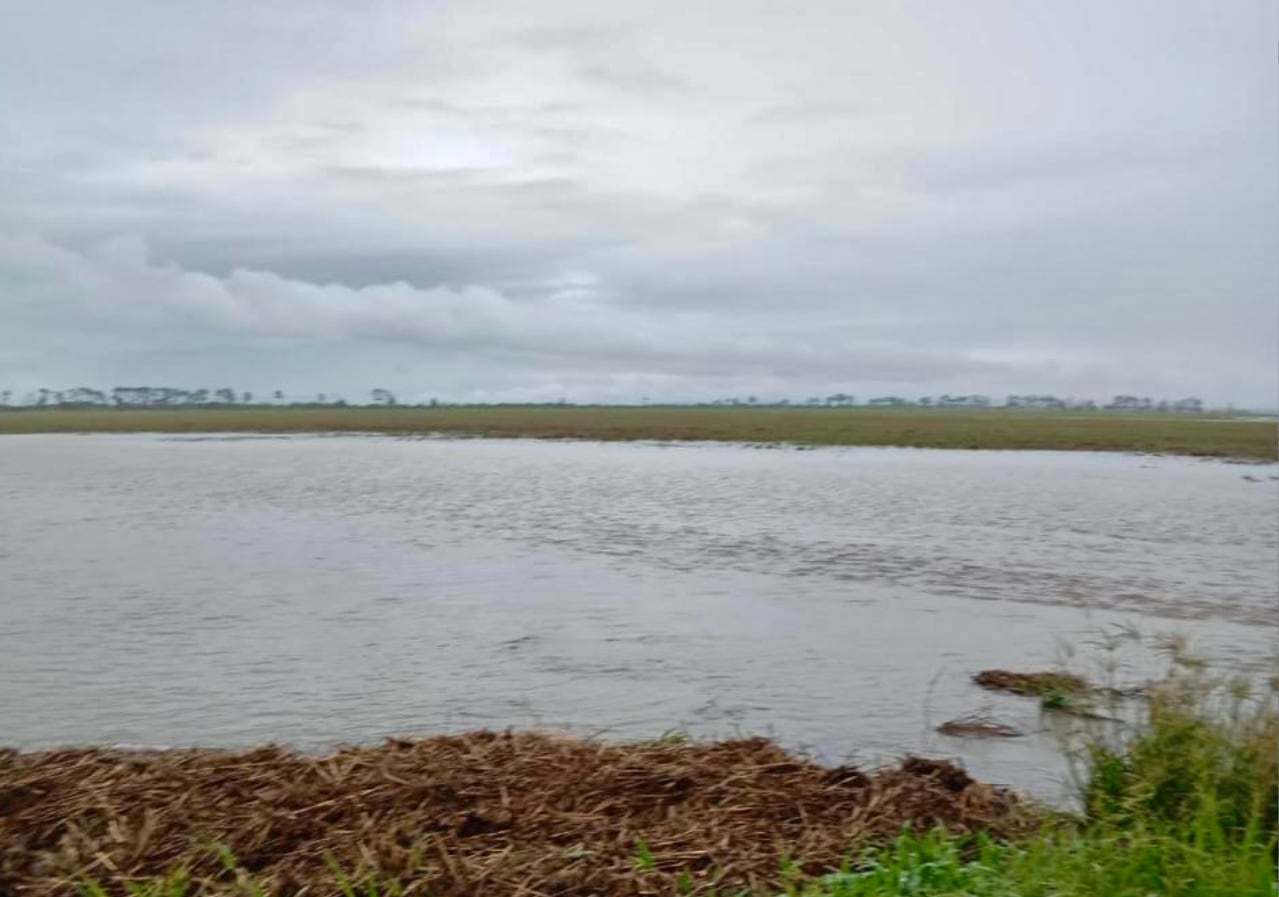 Las lluvias acumuladas en las últimas semanas saturaron los suelos y provocaron anegamientos en distintas zonas rurales de Tucumán