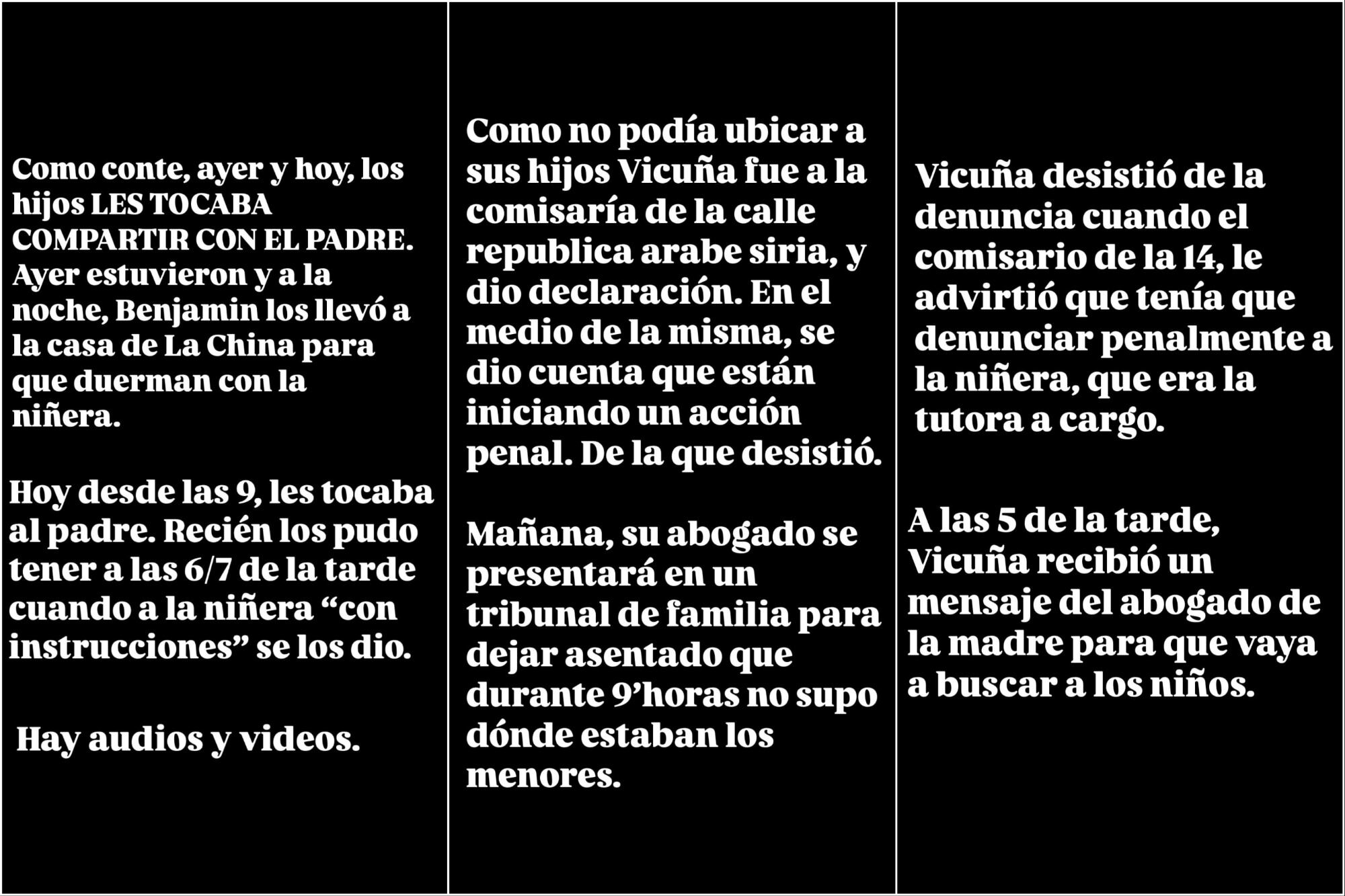 Según Ángel de Brito, tras no poder ver a sus hijos, Vicuña se acercó a la comisaría y dio declaración