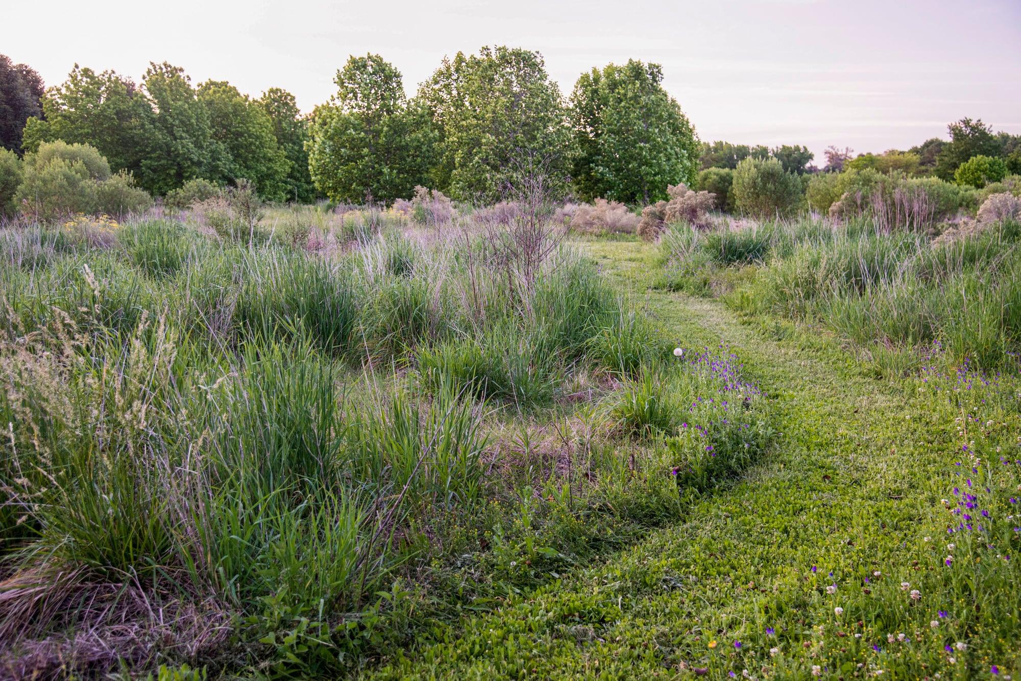 Líneas menos definidas, transiciones suaves entre y límites que se diluyen