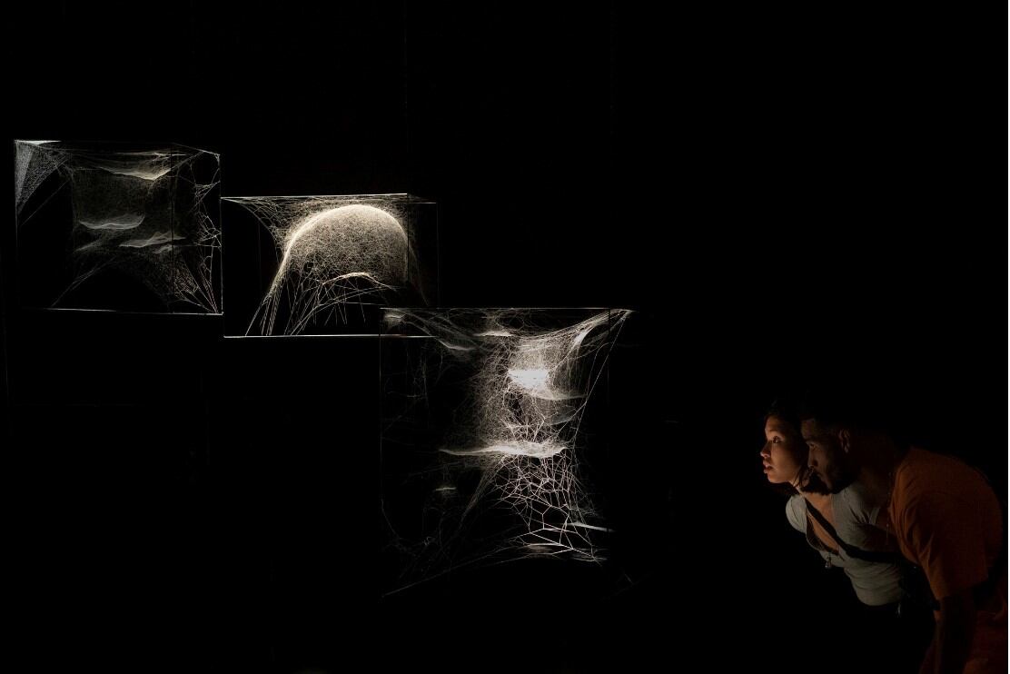 Telarañas exhibidas por Saraceno en el Palais de Tokyo en 2018