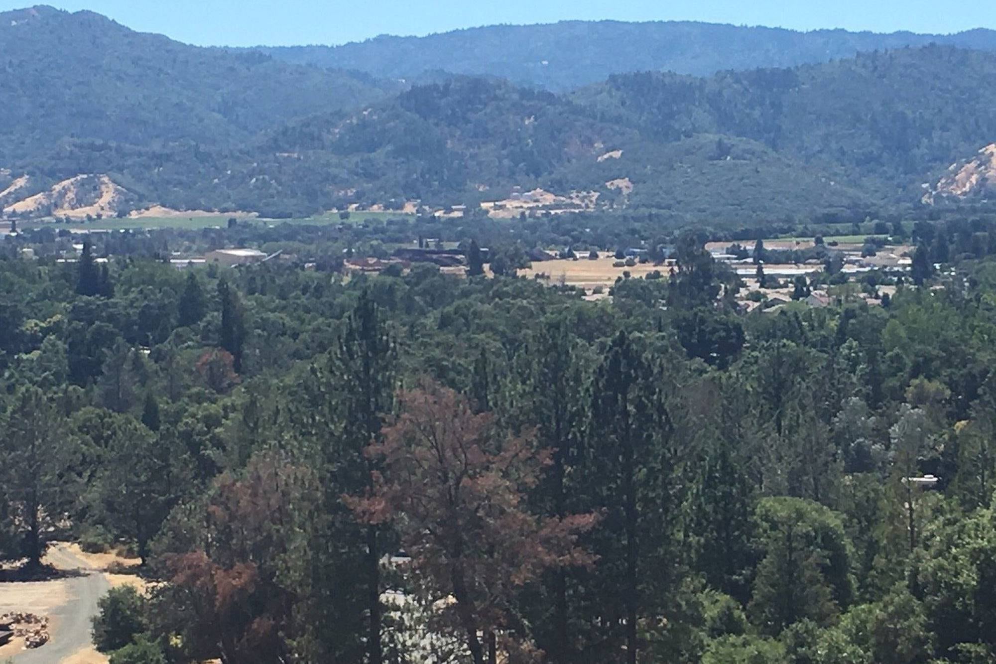 Los alrededores del lago Mendocino que se podrían ver afectados por la eliminación del sistema