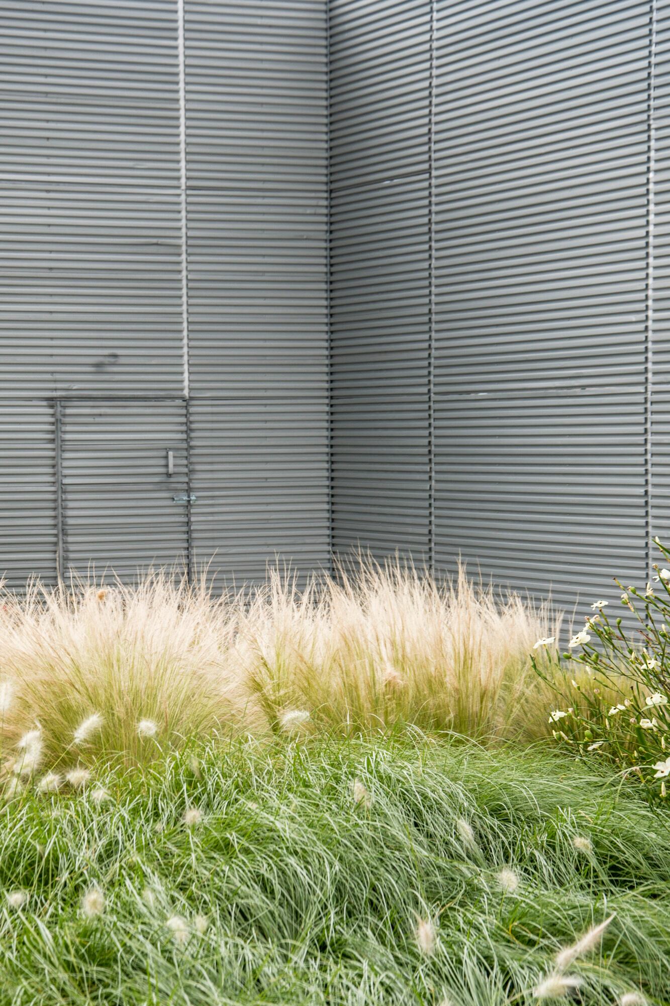 Las espigas blancas dan luz al lugar y lo agrandan visualmente