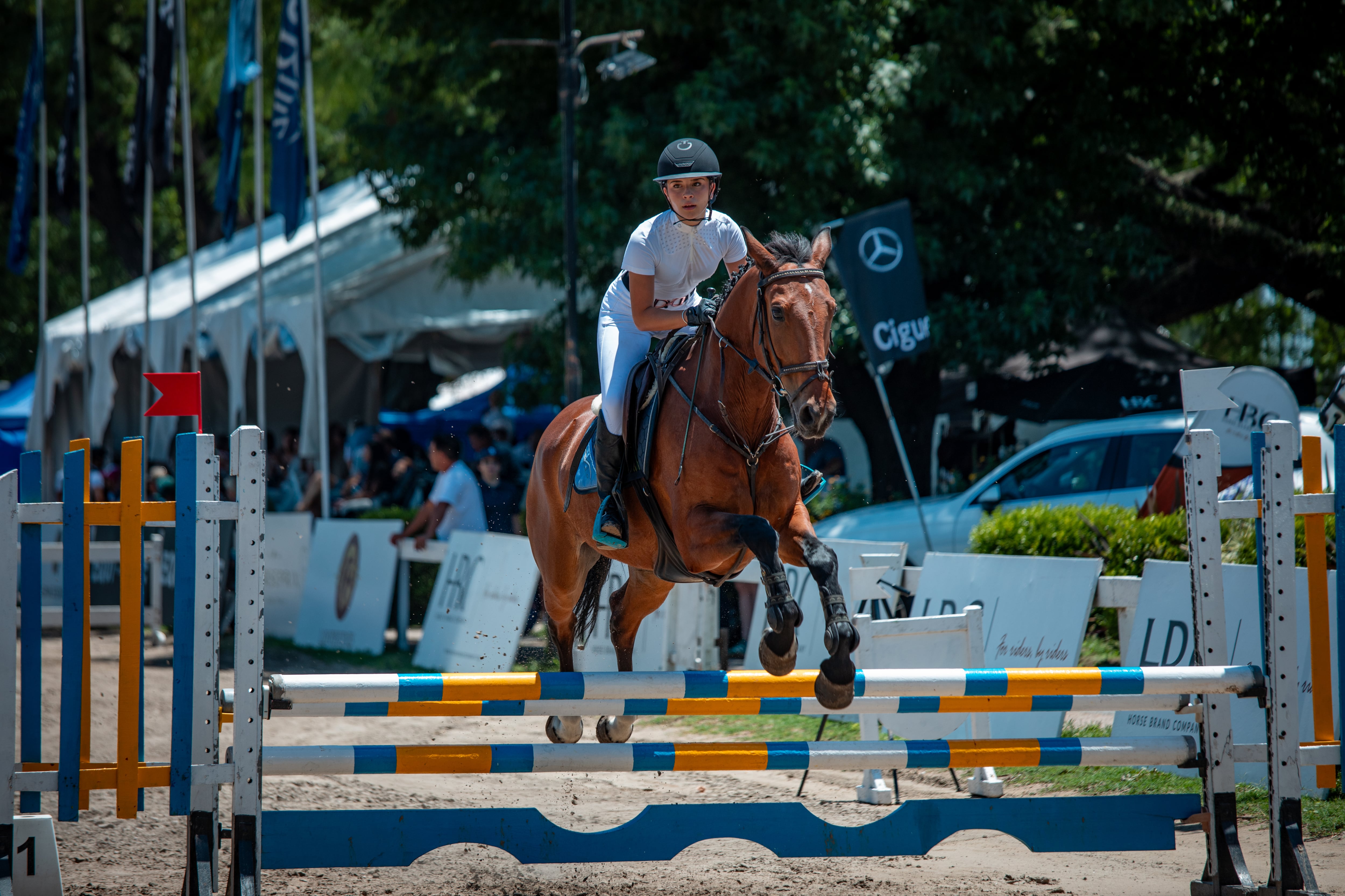 Un show para conocer más sobre las competencias ecuestres