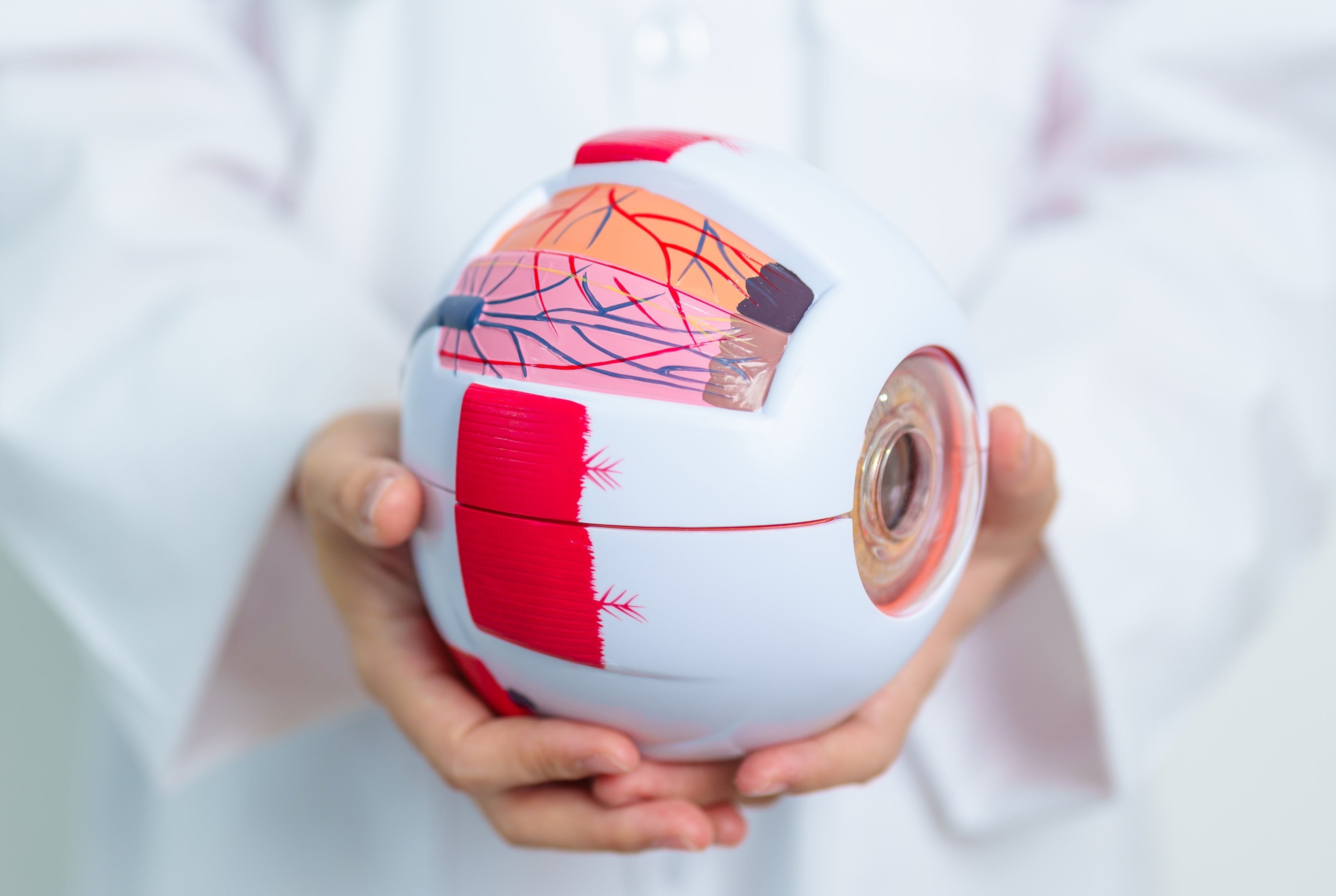 Científicos argentinos crearon Retinar: usan IA para la detección precoz de enfermedades de la vista