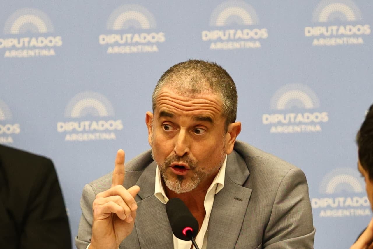 El diputado libertario Benegas Lynch, en medio del debate en comisión