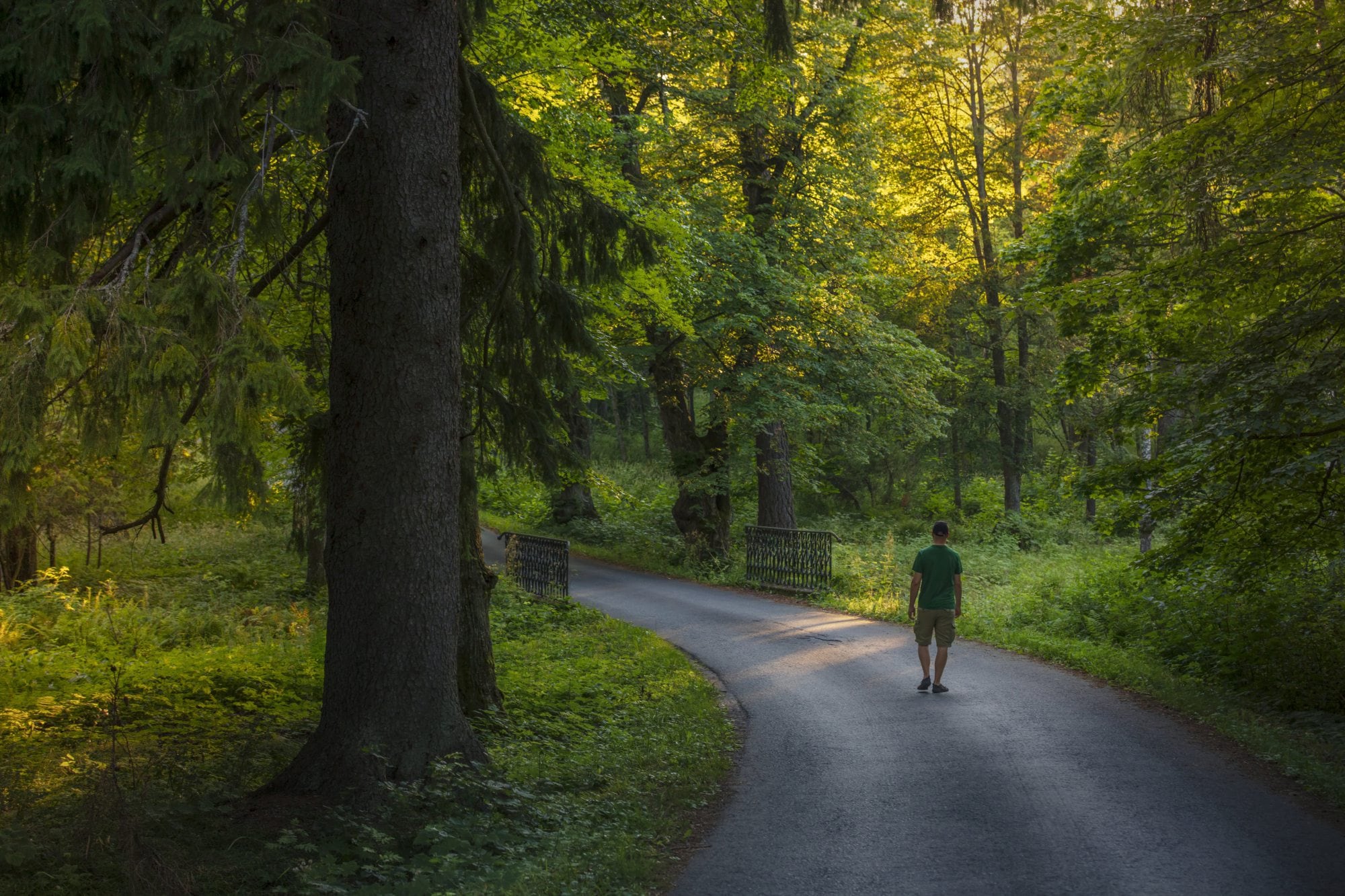 Qué es mindful walking: la práctica que mejora la salud y fortalece el cerebro