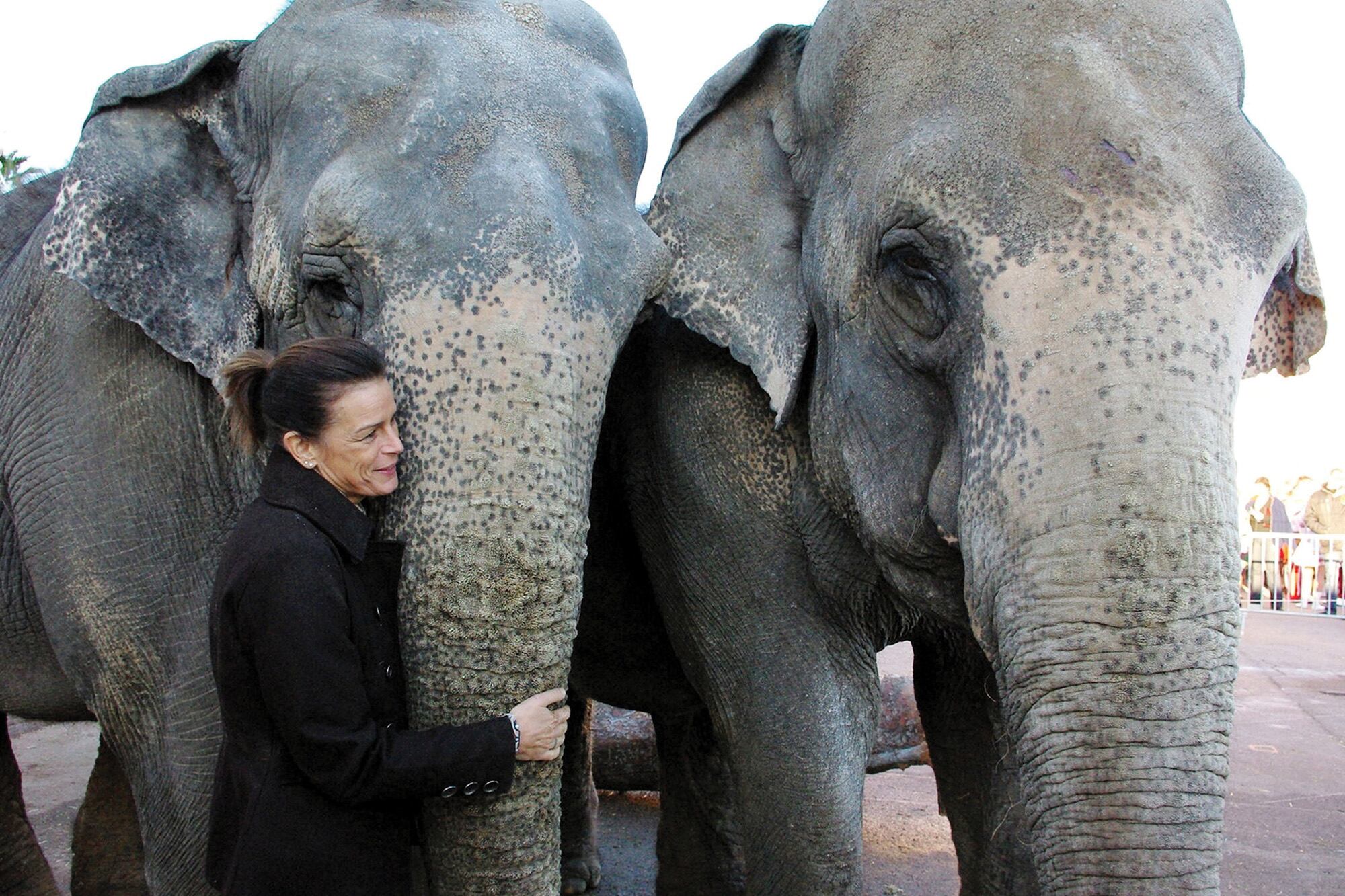 Su amor por los elefantes la rescató tras la muerte de su madre.