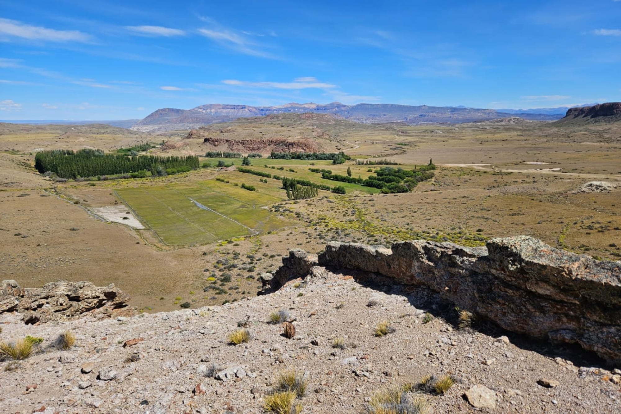 El campo familiar en pleno desierto patagónico se convirtió en un oasis