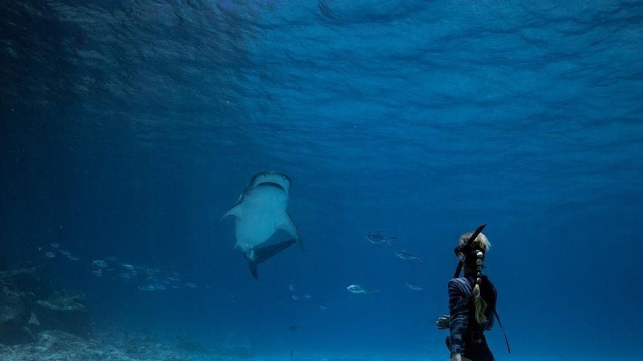 “Al ver la desconexión entre lo que la gente creía sobre los tiburones y cómo son realmente, sentí una gran responsabilidad y supe que quería dedicar mi vida a ayudar a la gente a comprender a los tiburones”, explicó Ocean Ramsey a LA NACION