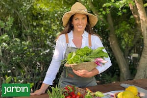 Fue modelo en los 90, se transformó en influencer jardinera y acaba de sacar un libro de recetas