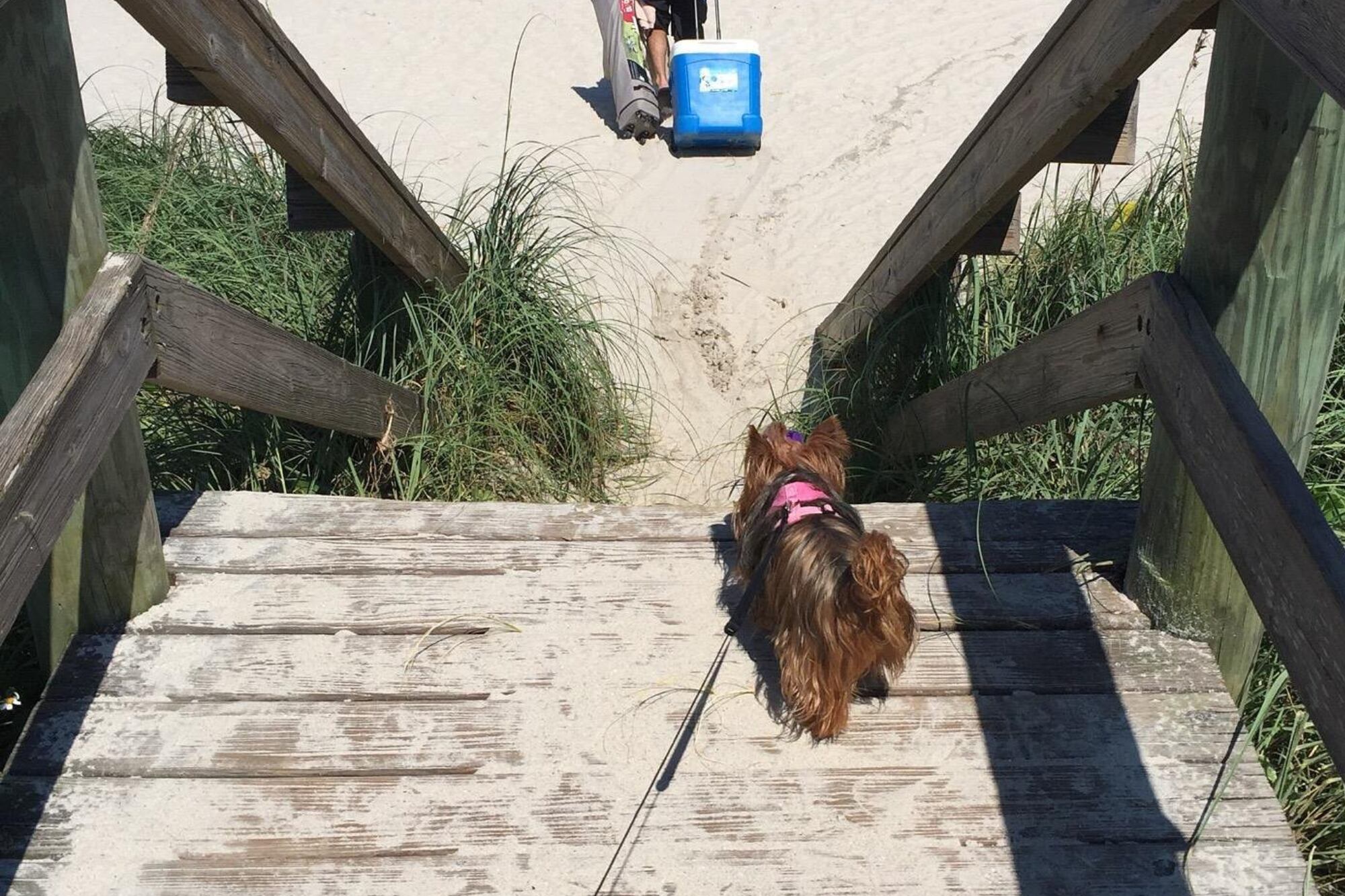 El ranking se basó en asequibilidad, satisfacción del visitante y valor como destino poco conocido