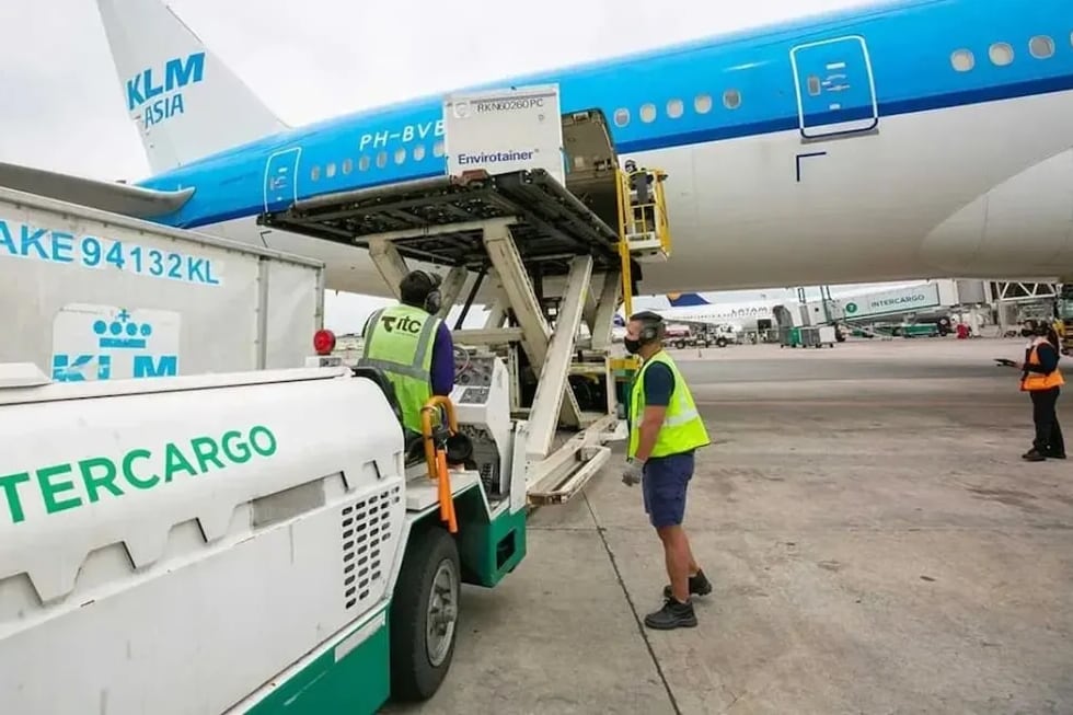 Gobierno Fija Precio Más Alto y Exigencias Para Privatización de Intercargo