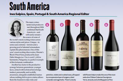 Selección de Decanter de los 5 mejores vinos de Sudamérica