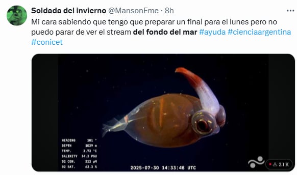 Los mejores comentarios del streaming del Conicet en las redes (Foto: X @MansonEme)