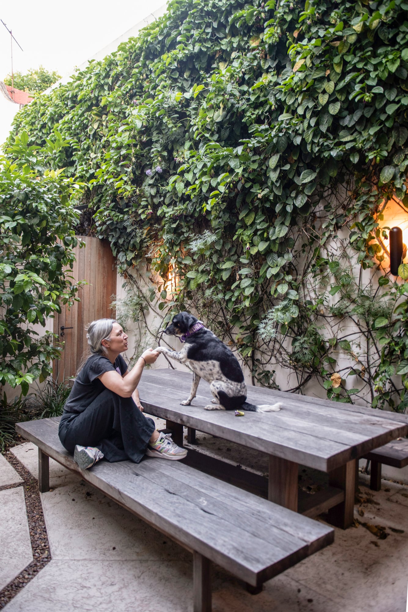 Las pasionarias cubren la pared medianera y la luz acompaña el estar exterior para que pueda ser usado también de noche