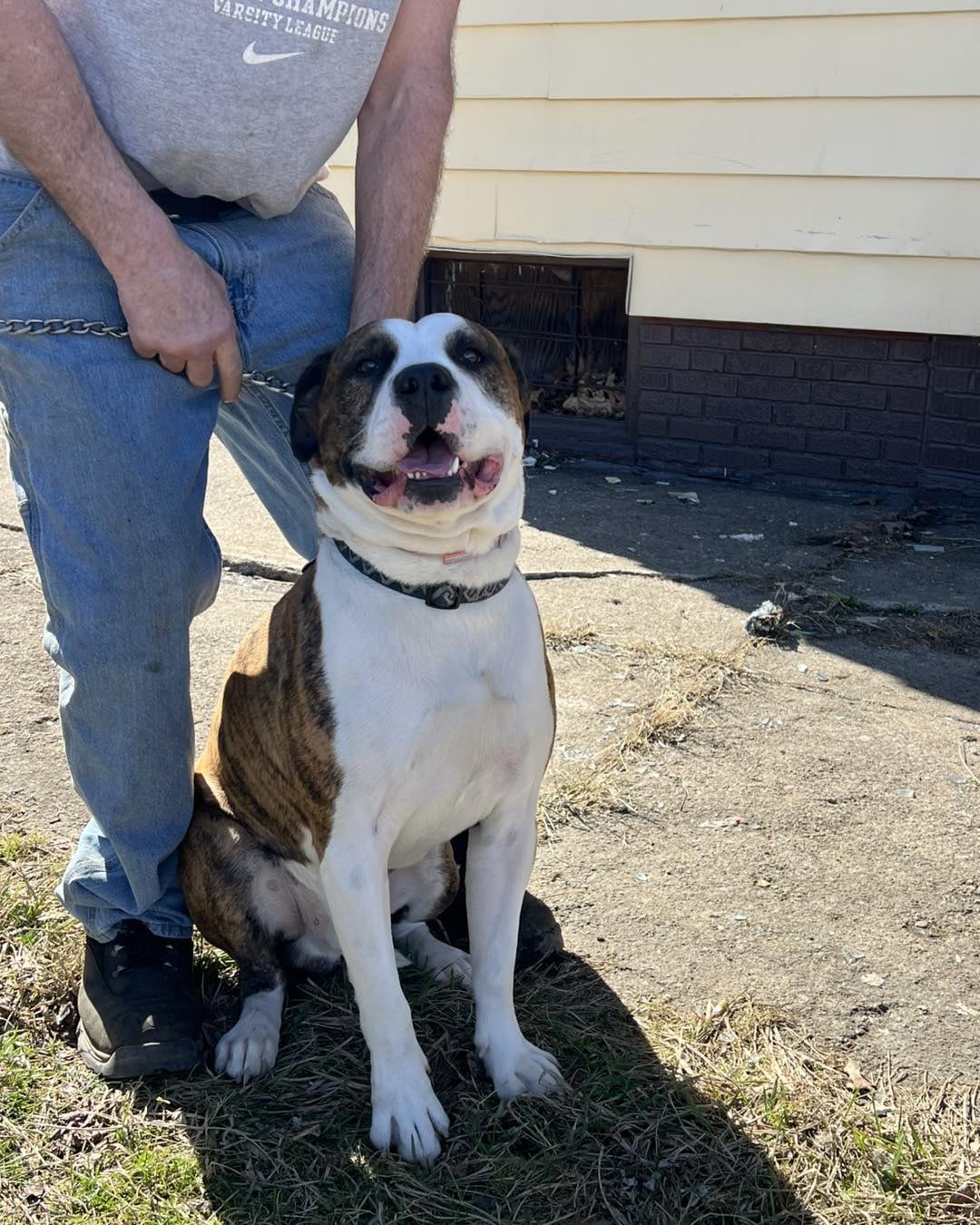 Ace sorprendió a todos con su precisión.