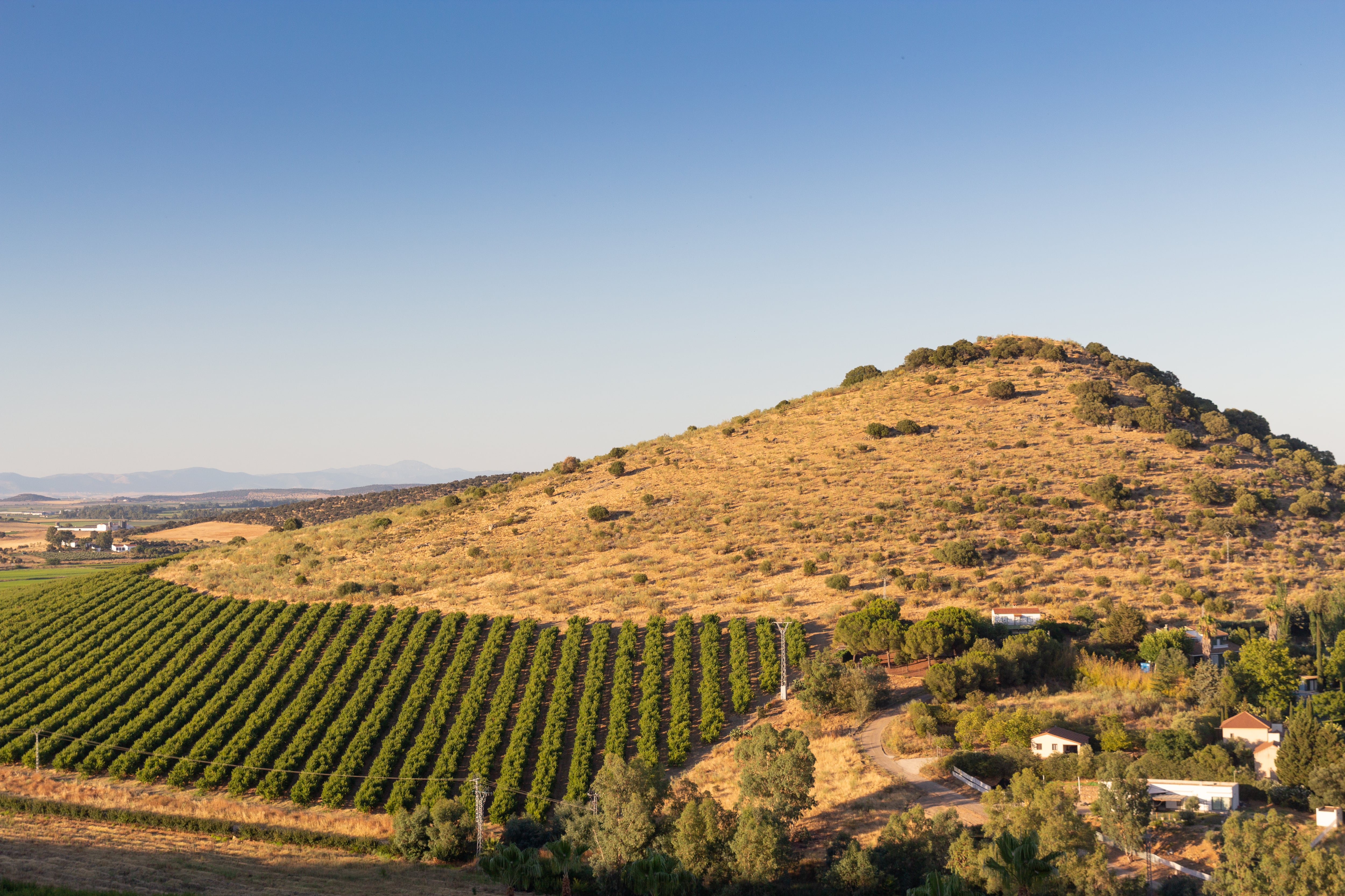 Paisaje rural de Extremadura