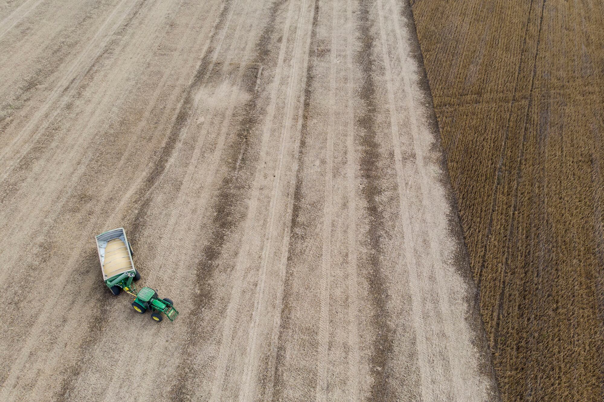 Hay situaciones de producción en campos alquilados con números ajustados