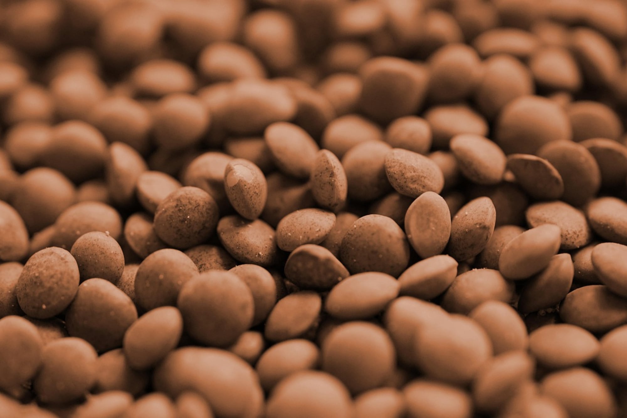 Las lentejas son un alimento altamente nutritivo, ideal para dietas equilibradas, vegetarianas o veganas