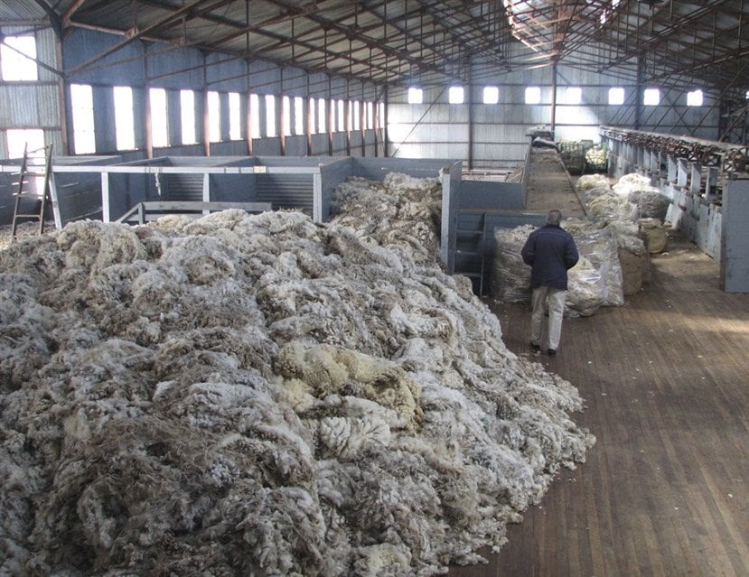 En la Patagonia, los productores ovinos apoyan la desregulación de las exportaciones