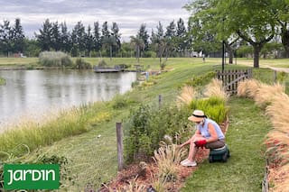 Las cinco especies que no fallan en jardines que dan a la laguna