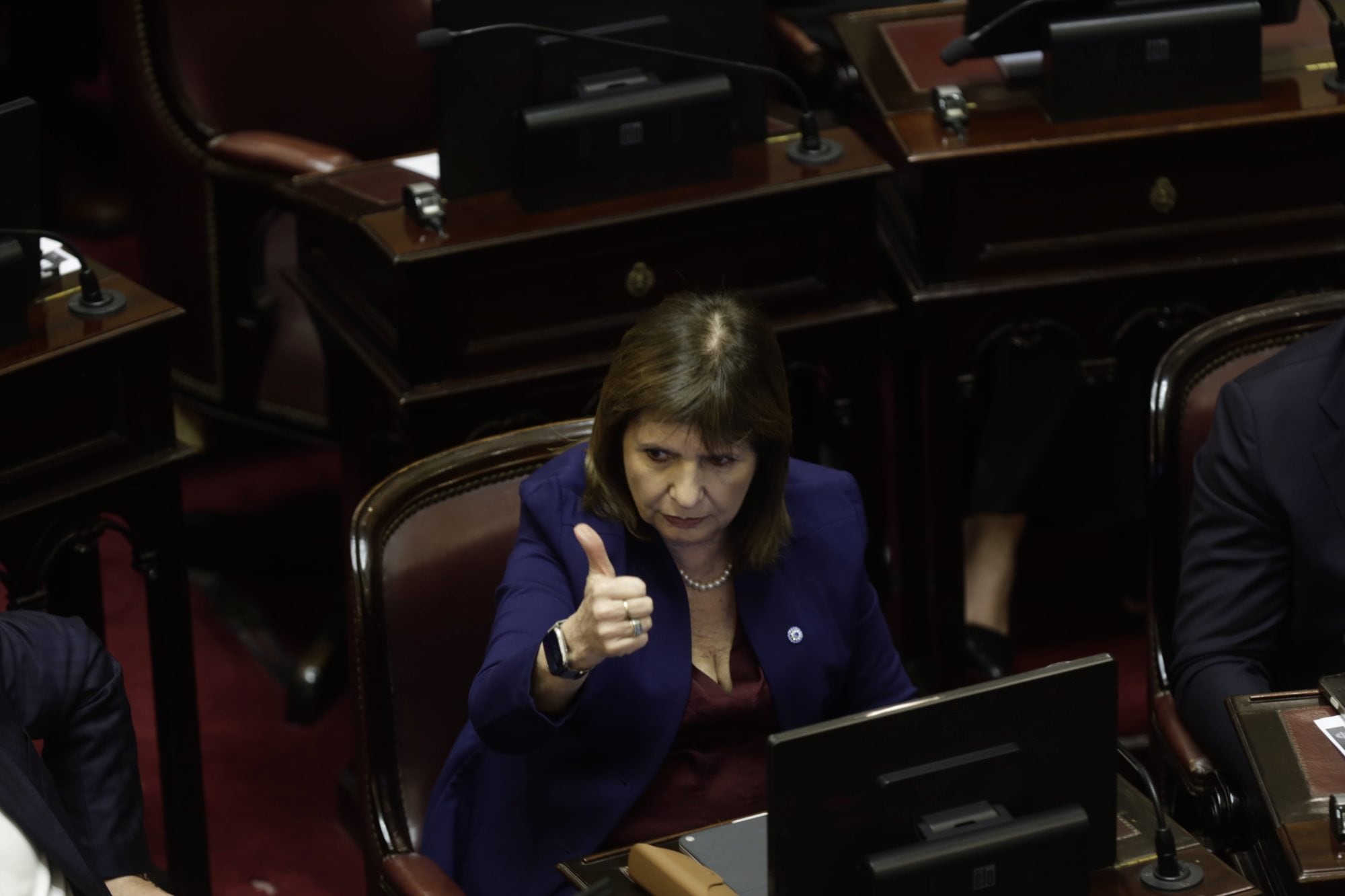 Patricia Bullrich en plena sesión